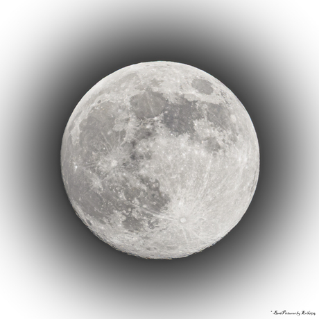 Super Volle Wolfmaan