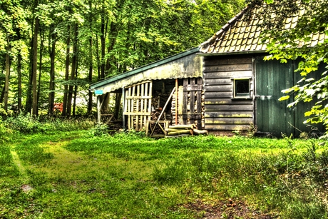 HDR