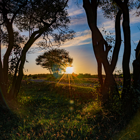 Zuiderheide - 9