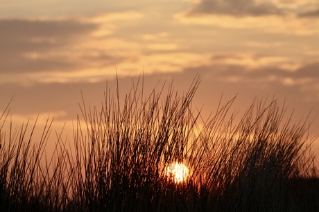 Cadzand-bad zonsopgang