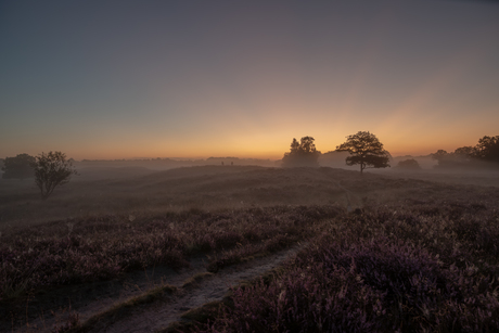 Zonsopkomst Gasterse Duinen 