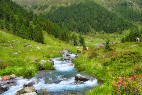 Berglandschap 1