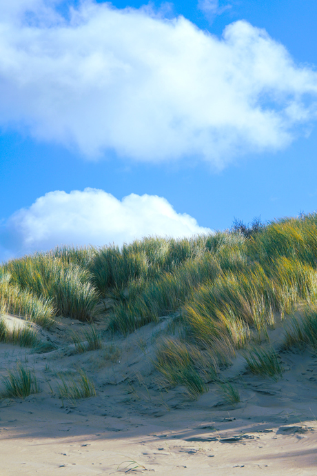 Day at the beach