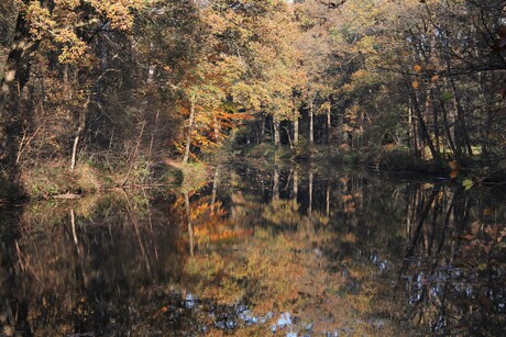 Autumn colours reflection