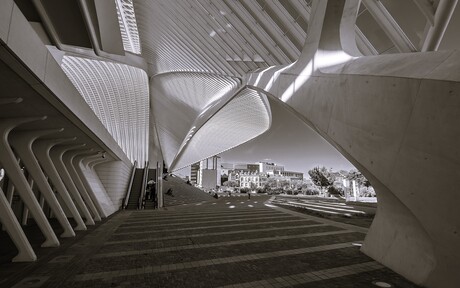 Station Luik-Guillemins