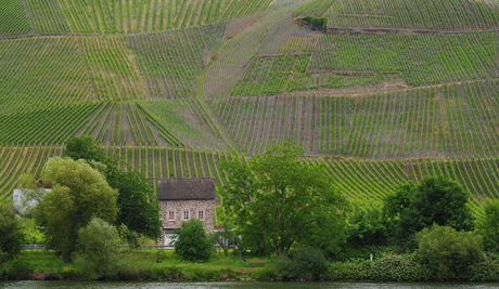 Graach an der Mosel versie 2