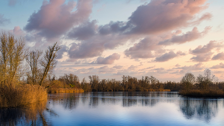Stille wateren van Nationaal Park De Biesbosch