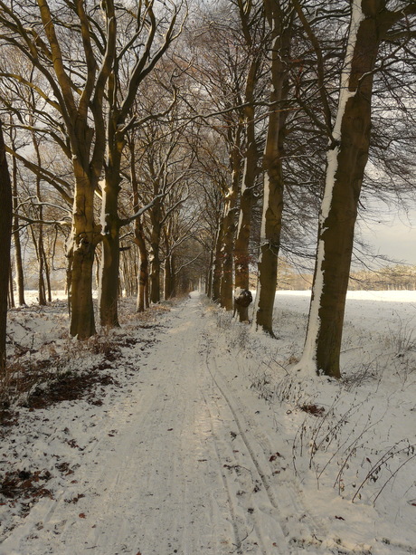 Uit het archief 201o.