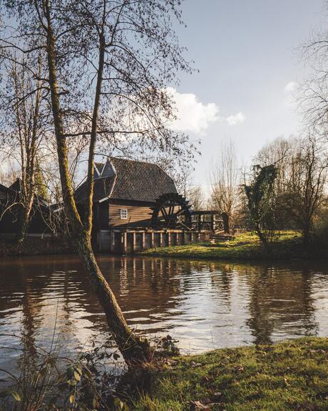 Vincent van Gogh's watermolen