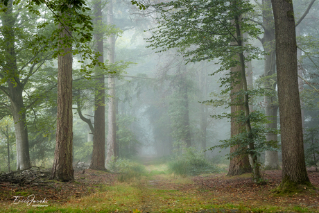 Heerlijk zo'n ochtend