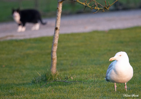 "Always watch over your shoulder...."