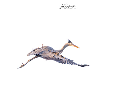 Waar de Ruimte Begint