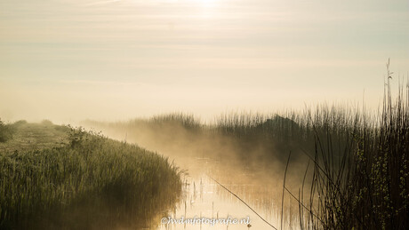 Mist in de ochtend. 