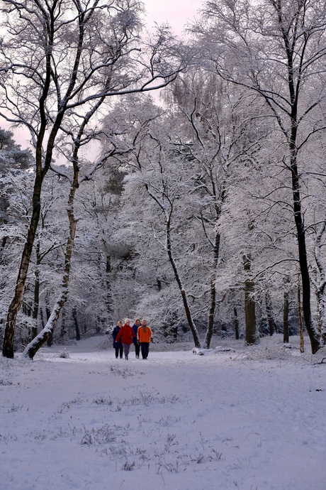 Winterwandeling