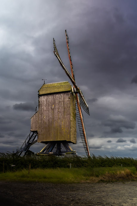 Molen