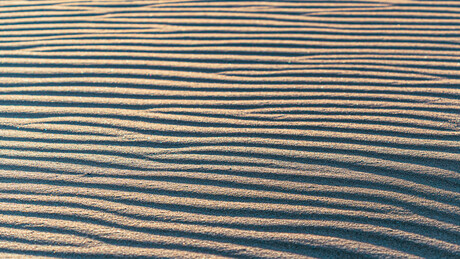 Strand bij wassenaar