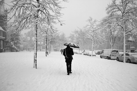 Winter in Amsterdam