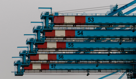 "APM Terminals"