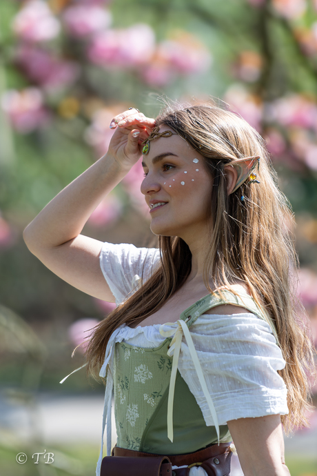 Elfia 2025