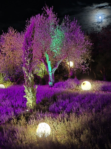 Onder toeziende ogen van de maan bij Enchanted garden Arcen