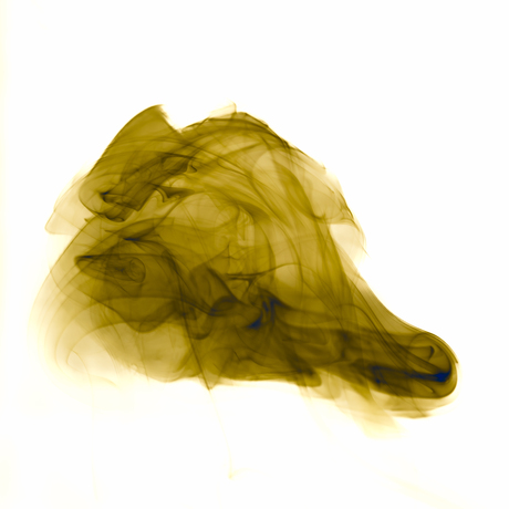 Honden kop/paarden hoofd 