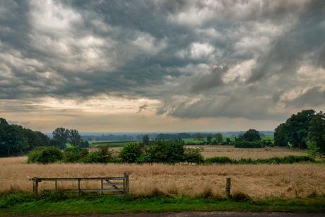 Twente