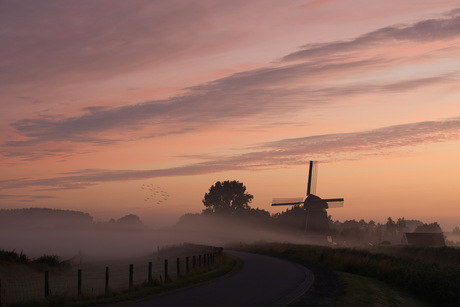 De vier winden