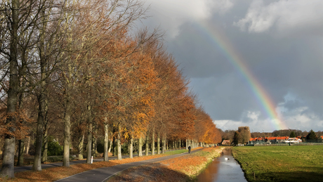 Herfst regenboog