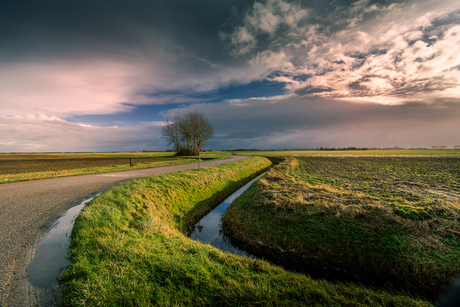 Polder bij Sommelsdijk op Flakkee
