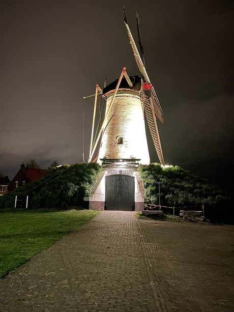 Molen 