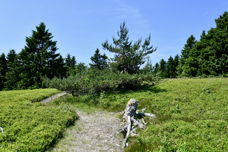 Regio Winterberg.