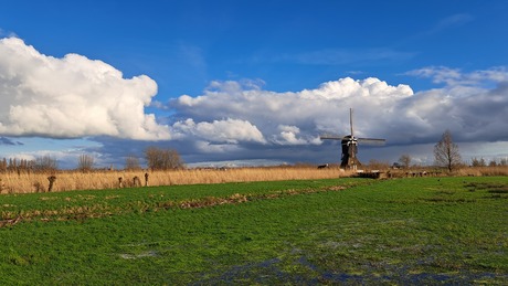 Hollands landschap nabij Hoornaar