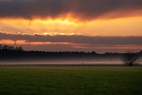 Zonsondergang in het Noord-Brabantse landschap.