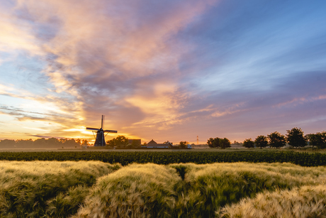 Zonsopkomst molen Overzande