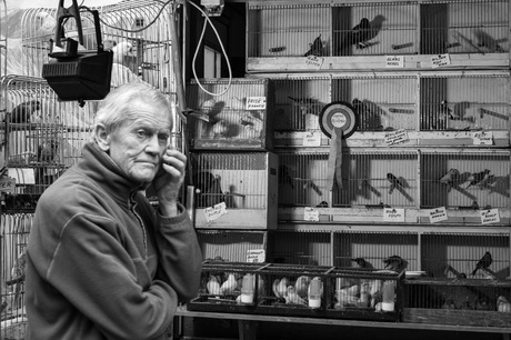 De vogel verkoper 