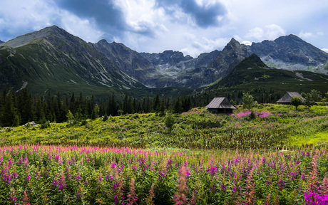 Tatry