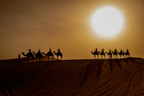 Door de Sahara