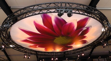 P1300741   KOM IN DE KAS nr8   Kijk ook eens omhoog  bij tuin 5    11 april 2026  