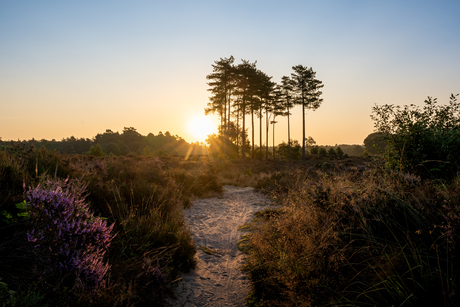 Zonsopgang Den Treek 