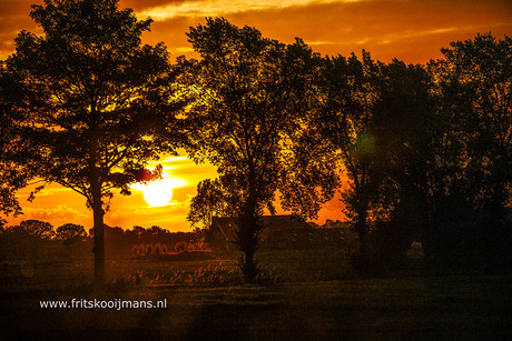 Zonsondergang in Westerwijtwerd