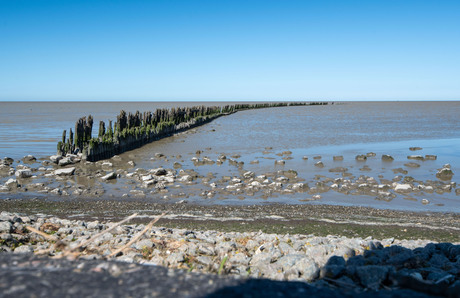 De palenrij voert je als kijker naar de horizon.