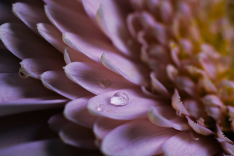 eerste keer macro
