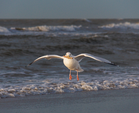 Strand bij Noordwijk