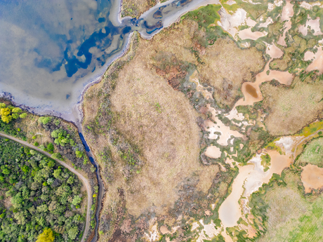 The world from above