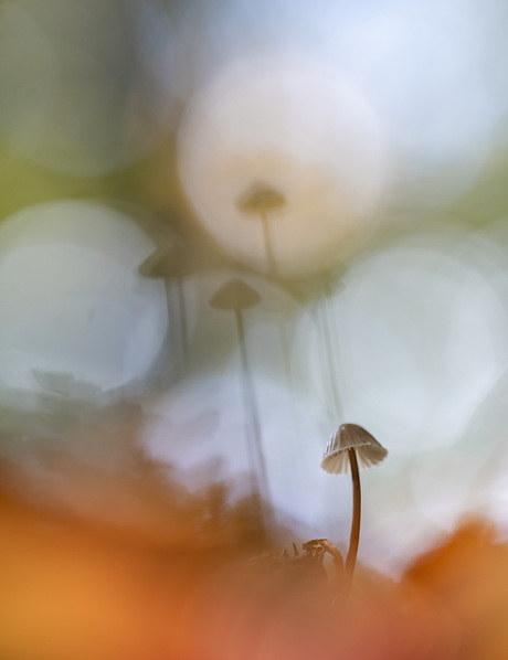 1,2,3,4....hoedje van papier