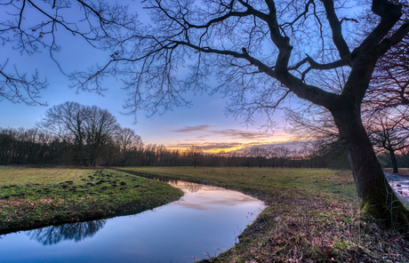 De Waterwinbossen net na zonsondergang