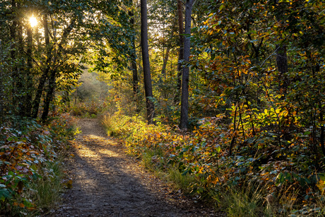 Herfst