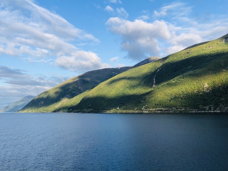 Fris fjordgroen