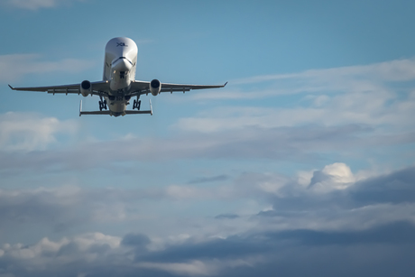 Airbus Beluga XL