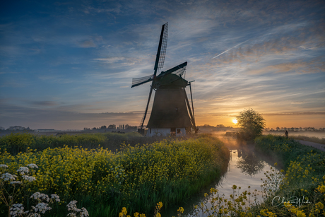 Molen in de lente mist